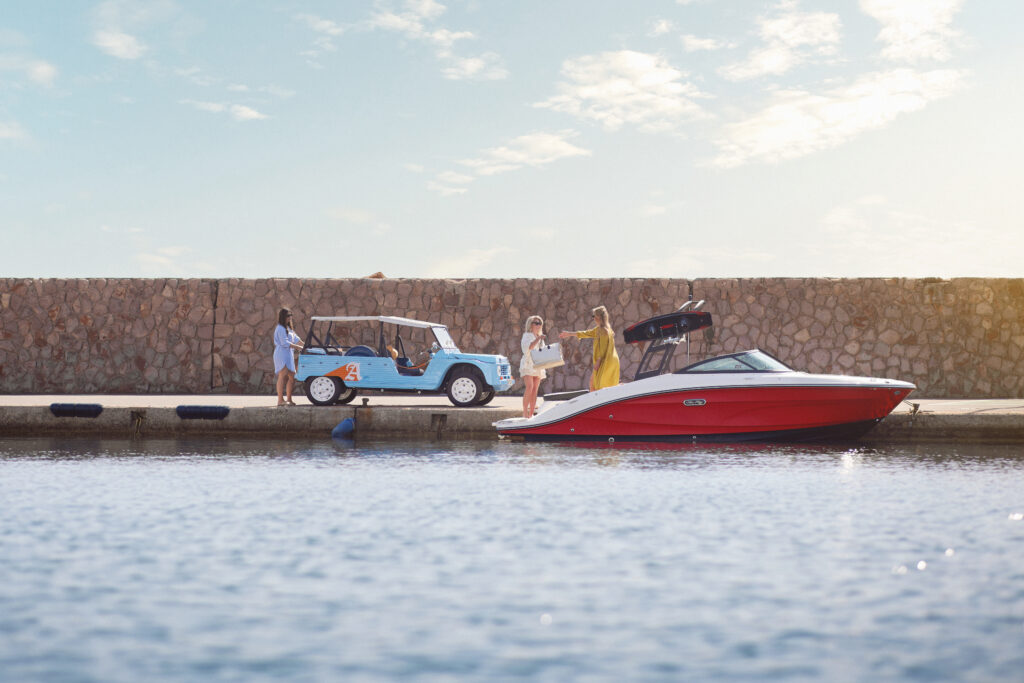 Bateaux Sea Ray d'occasions