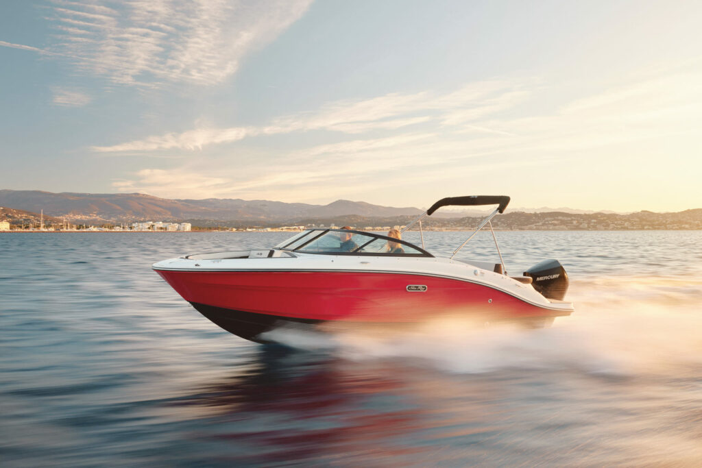 Sea Ray 210 SPX Hors-Bord